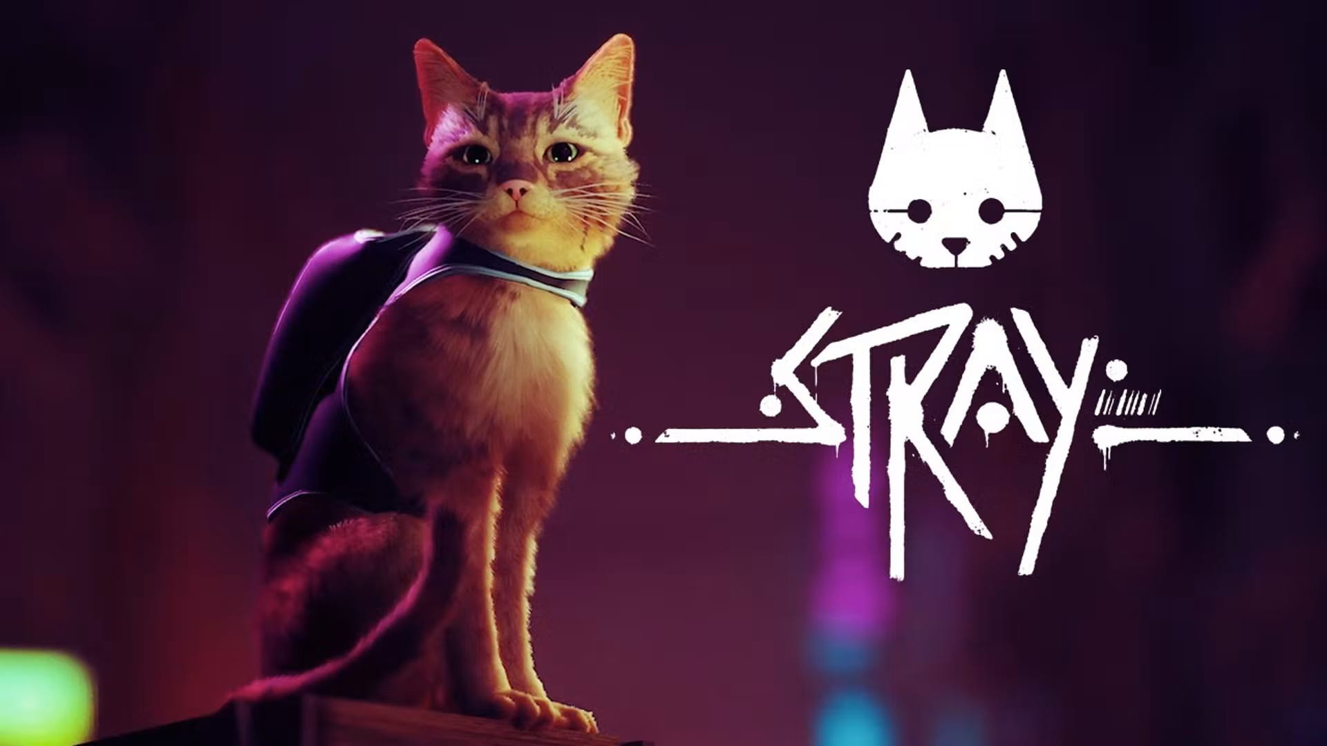 Stray оффлайн активация+Аккаунт+ОБНОВЛЕНИЕ🌎Steam